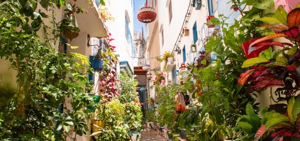 City Break à Tanger by Ôvoyages, Séjour Maroc, Tanger par Ôvoyages City Break à Tanger by Ôvoyages, Séjour Maroc, Tanger par Ôvoyages